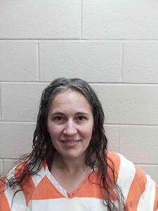 Booking photo of ZINA SOKOLI